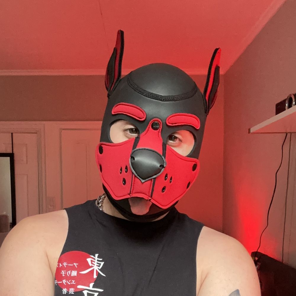 Pup Empire