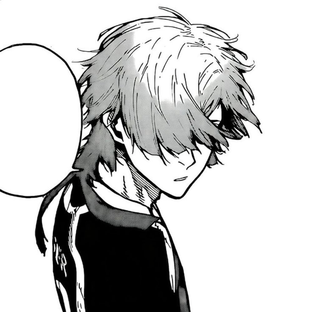 hawk