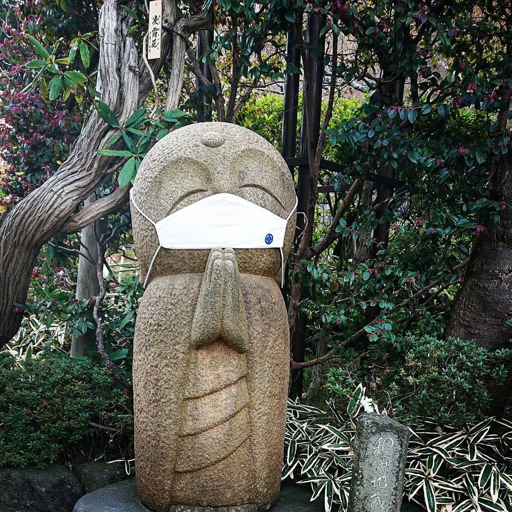 せこりん