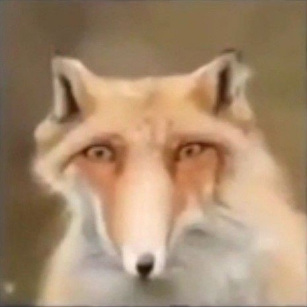 高斯模狐