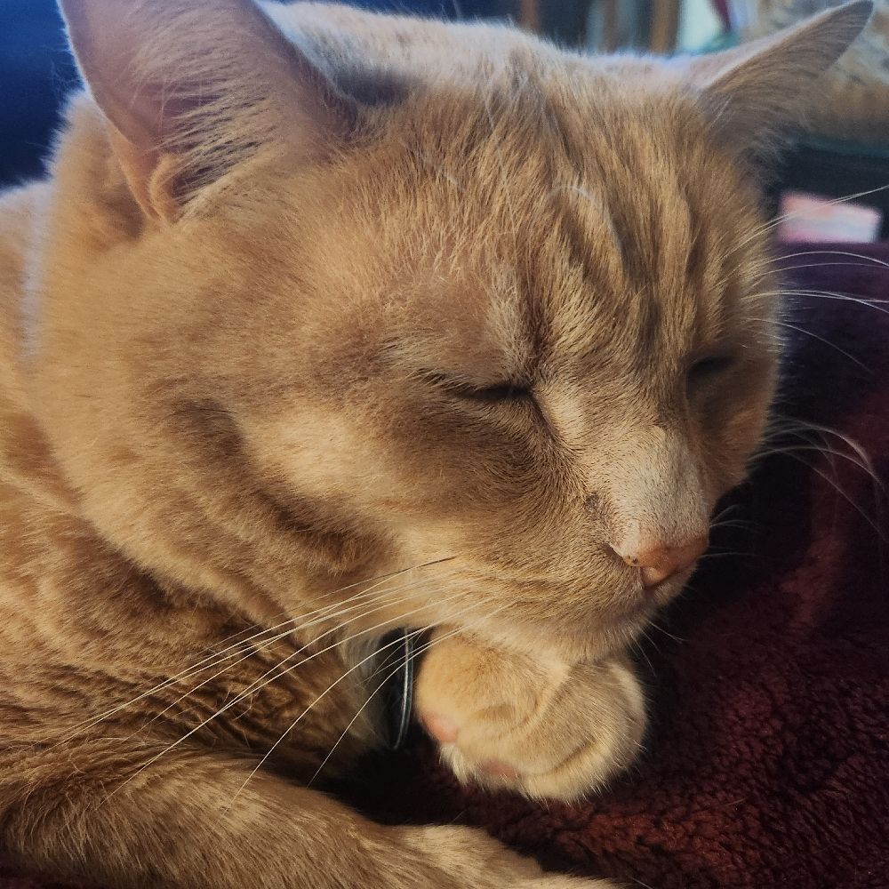 Sam