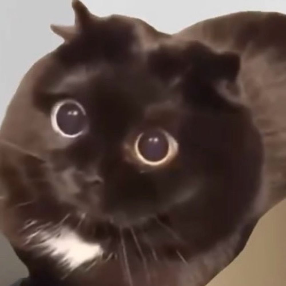 みやもん