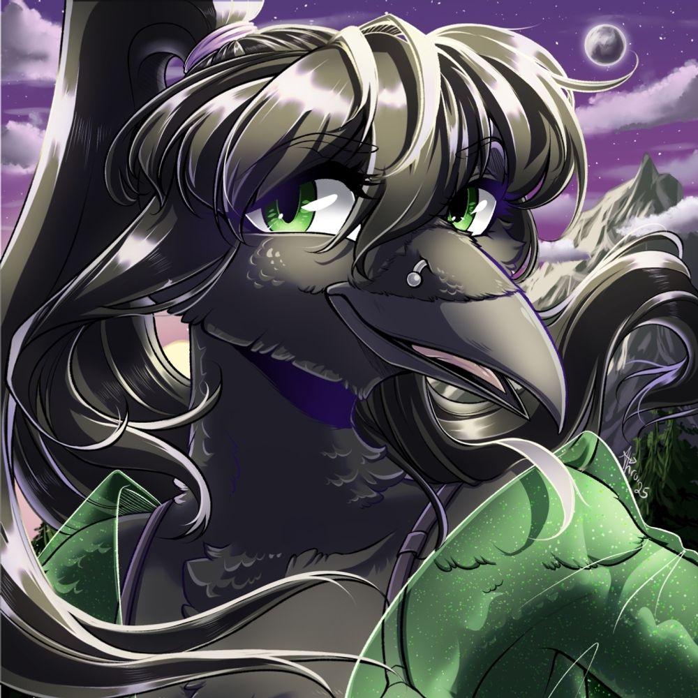 noelravencort87.bsky.social profile picture