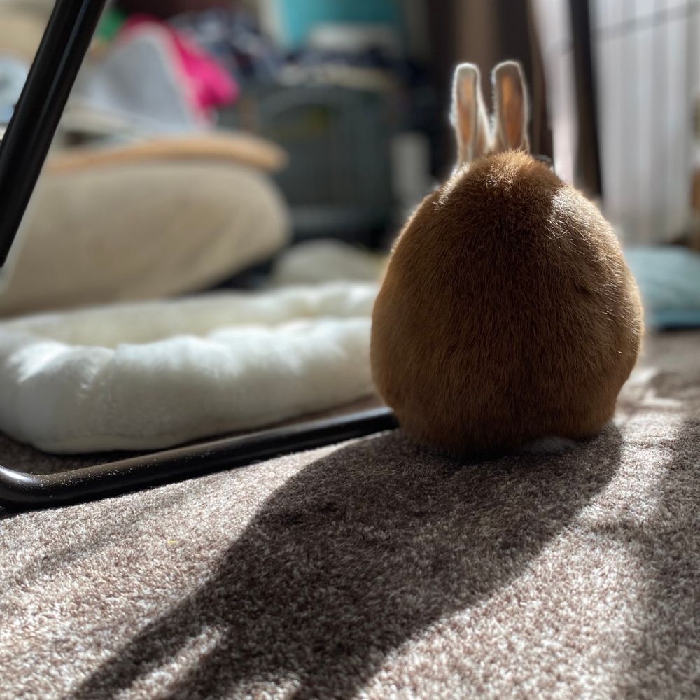 ルート