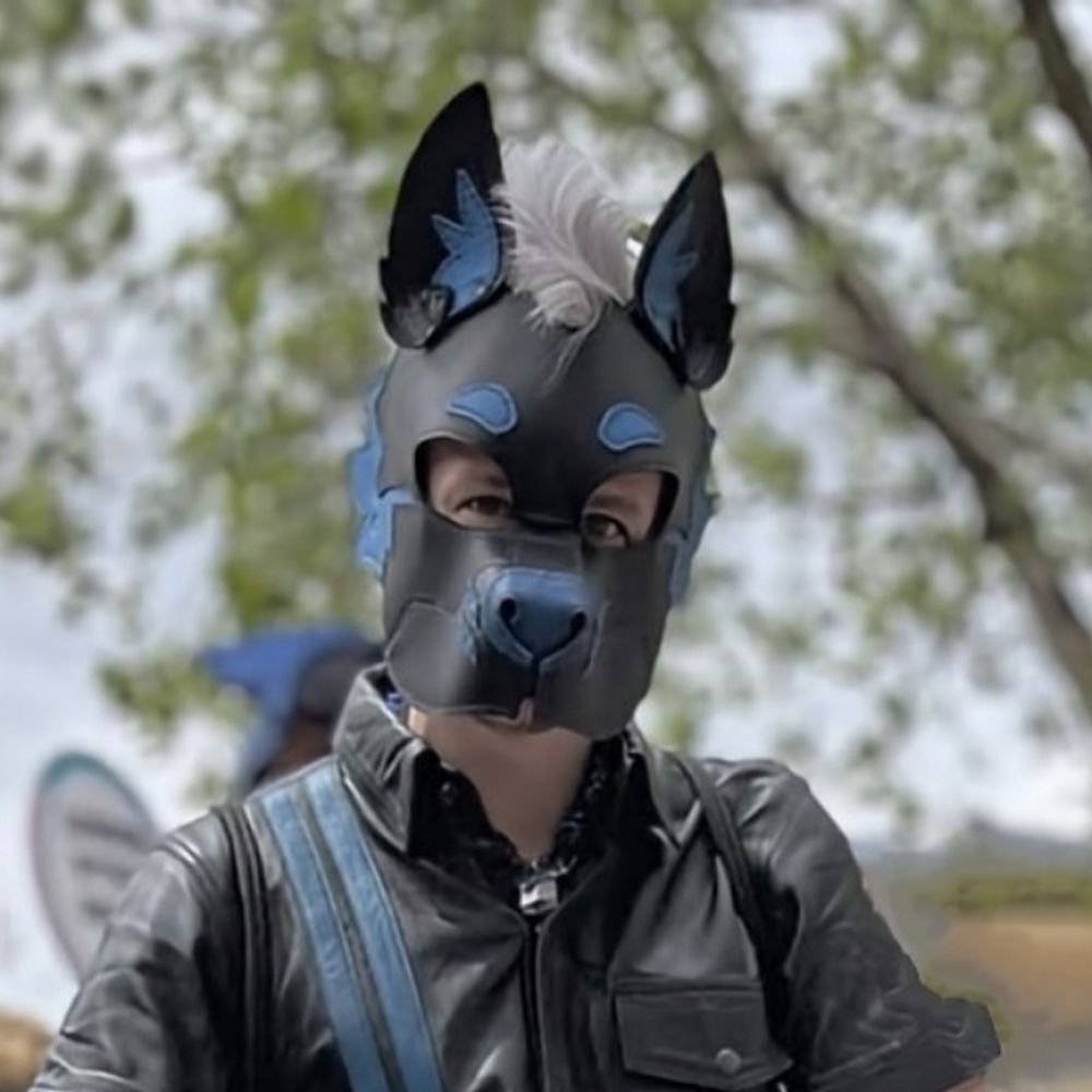 Pup Olly