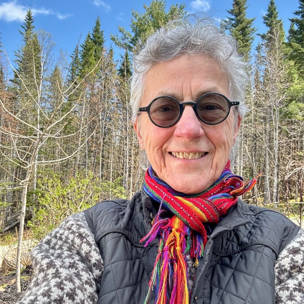Carol Millett