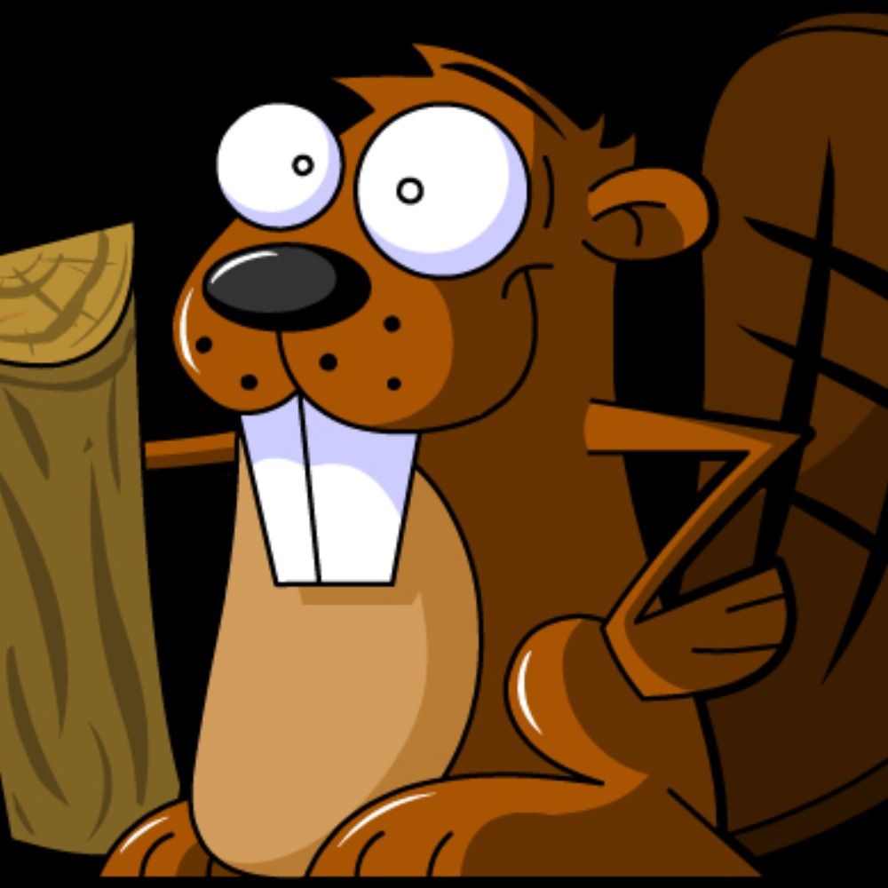 MrCastor