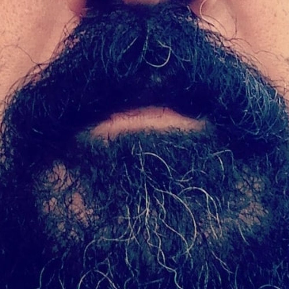 RenatoBear