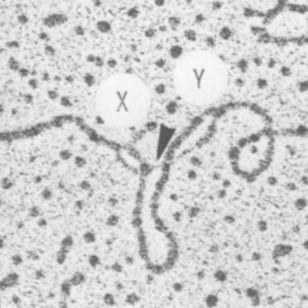 Latest on Alternative Splicing