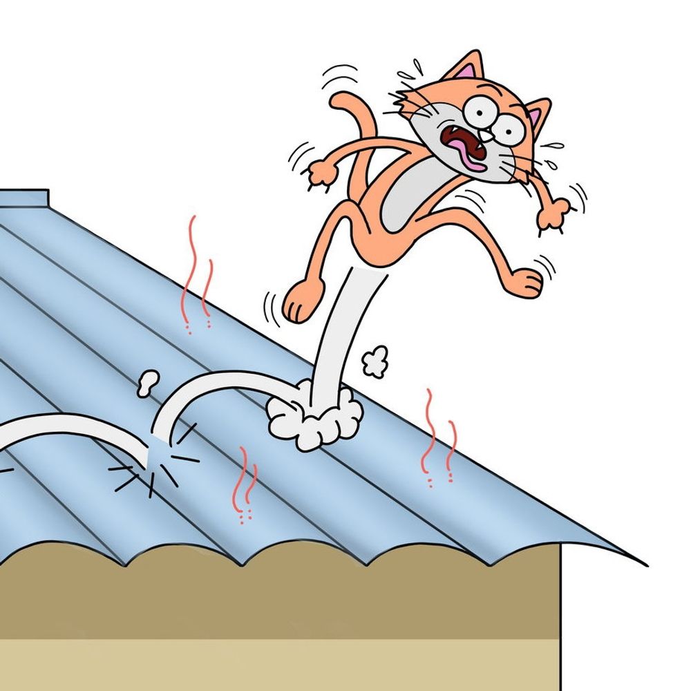 CatOnHotBlueRoof