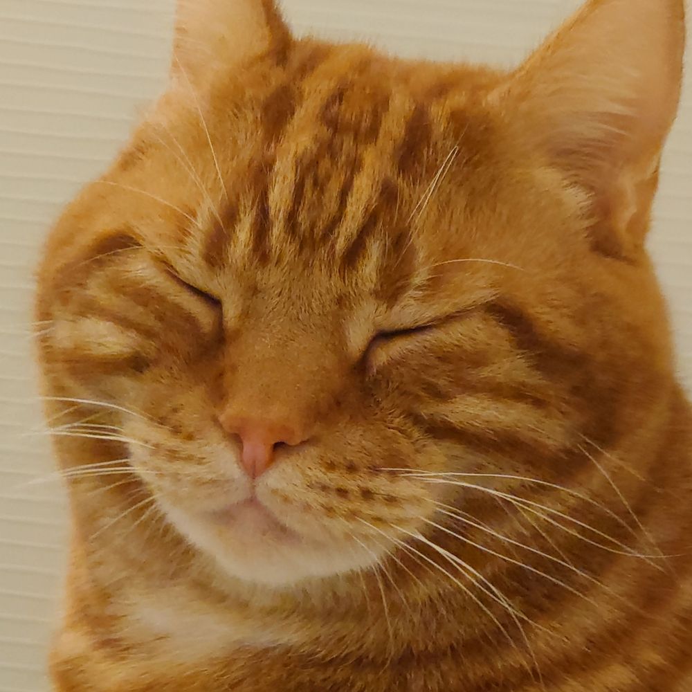 まくら