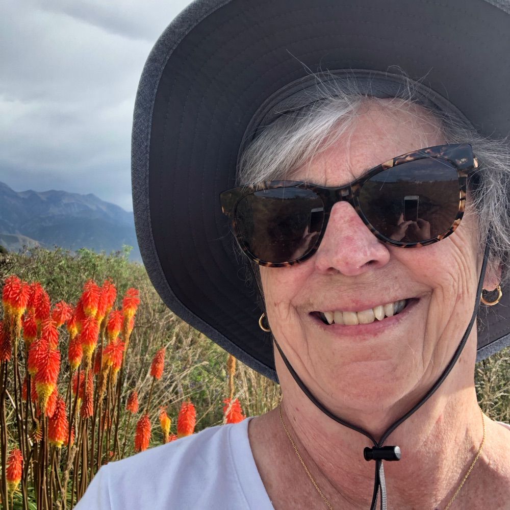 Carol Hammond