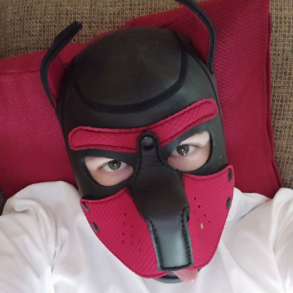 Pup.Locked