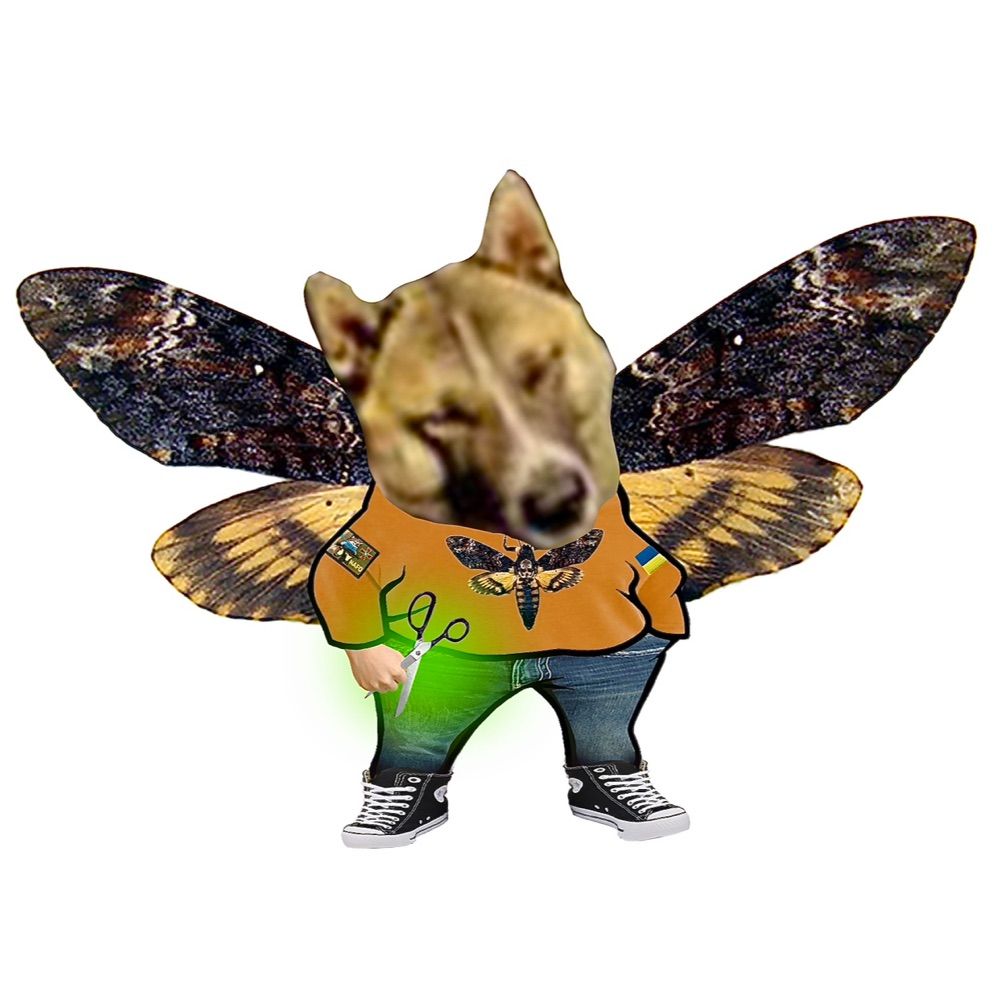 fugitcumforfex