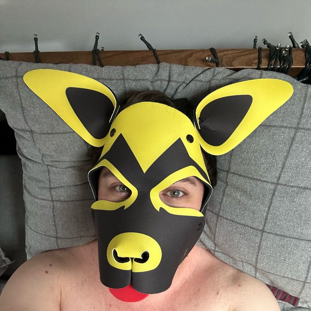 Pup Jakey