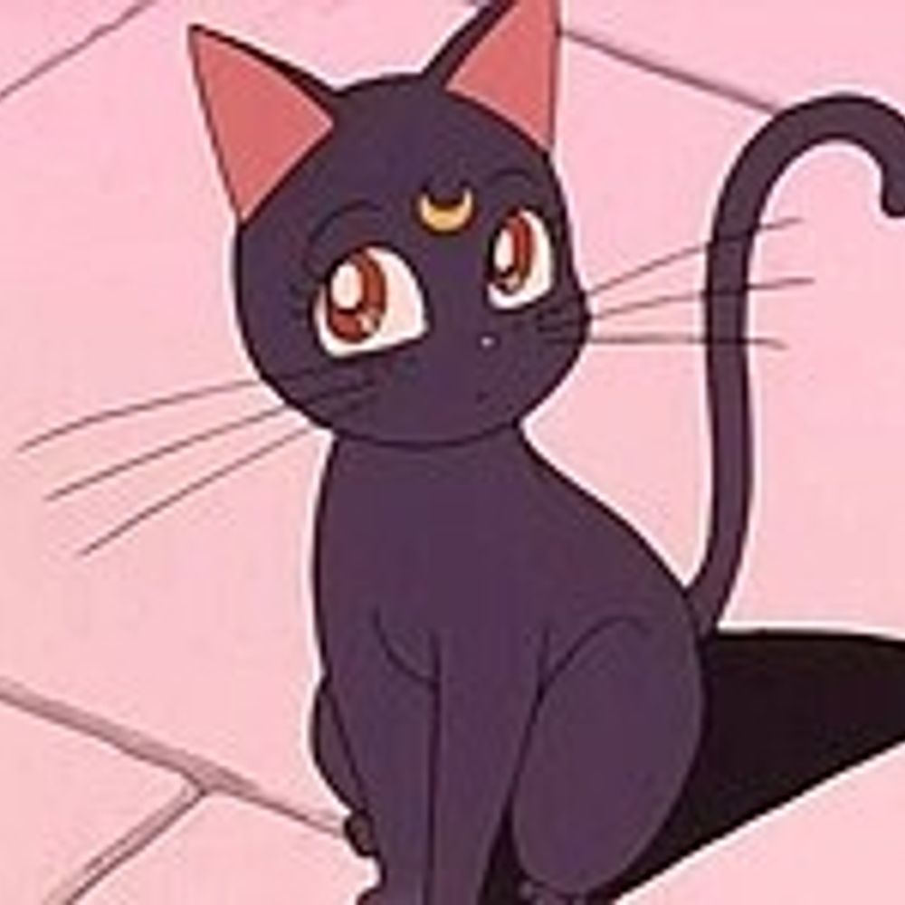 SpaceCat💫