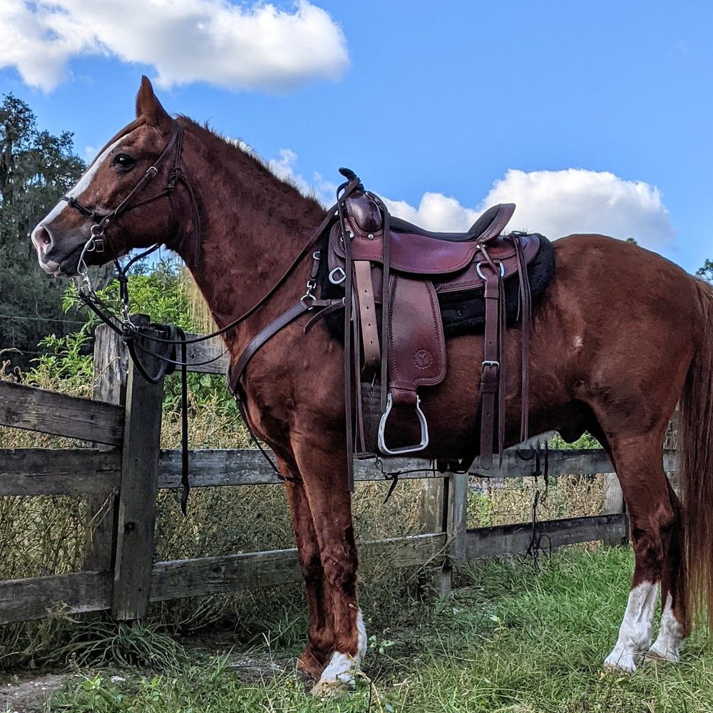 Super✨️Nova