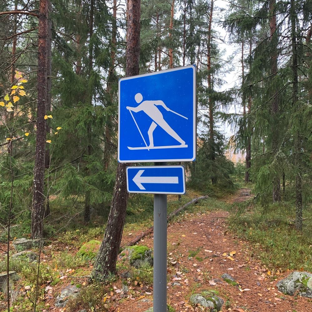 Suomen kielitieteellinen yhdistys SKY