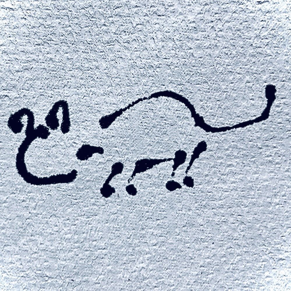 んれしもか
