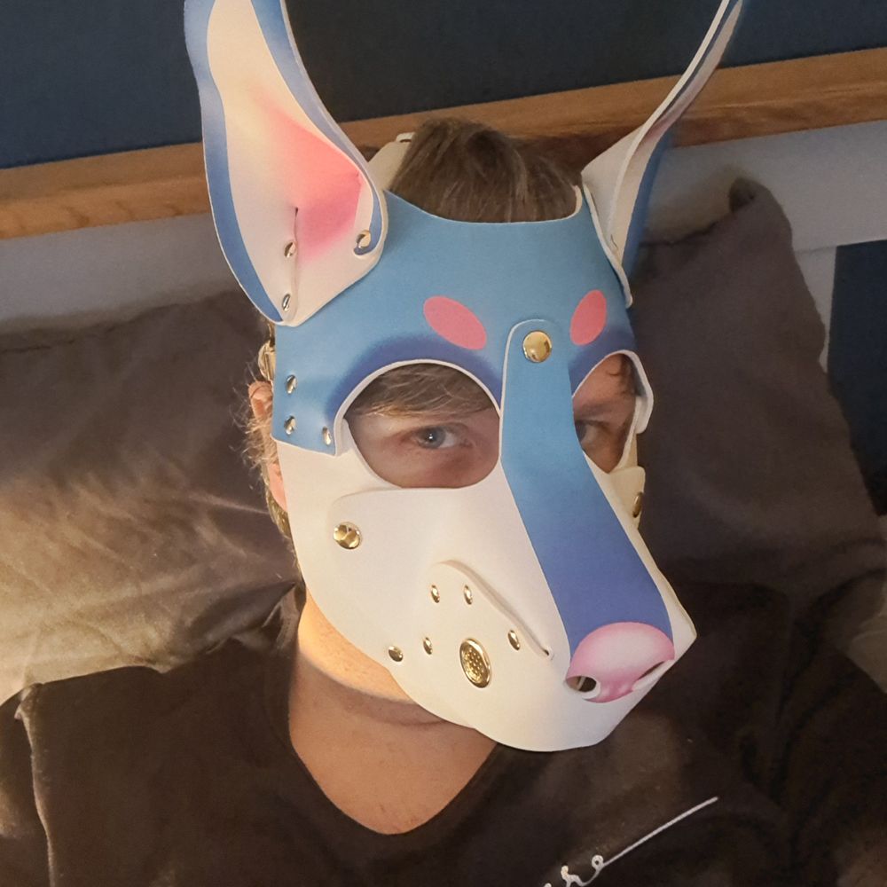 Wolfy