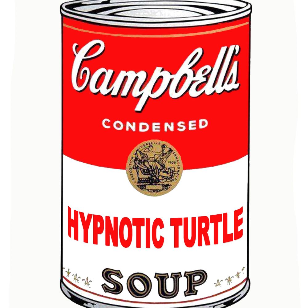 Profile picture hypnoticturtle.bsky.social