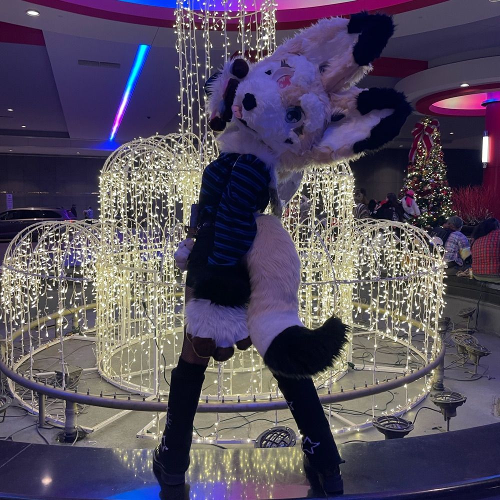 Aster🌱🔜MFF