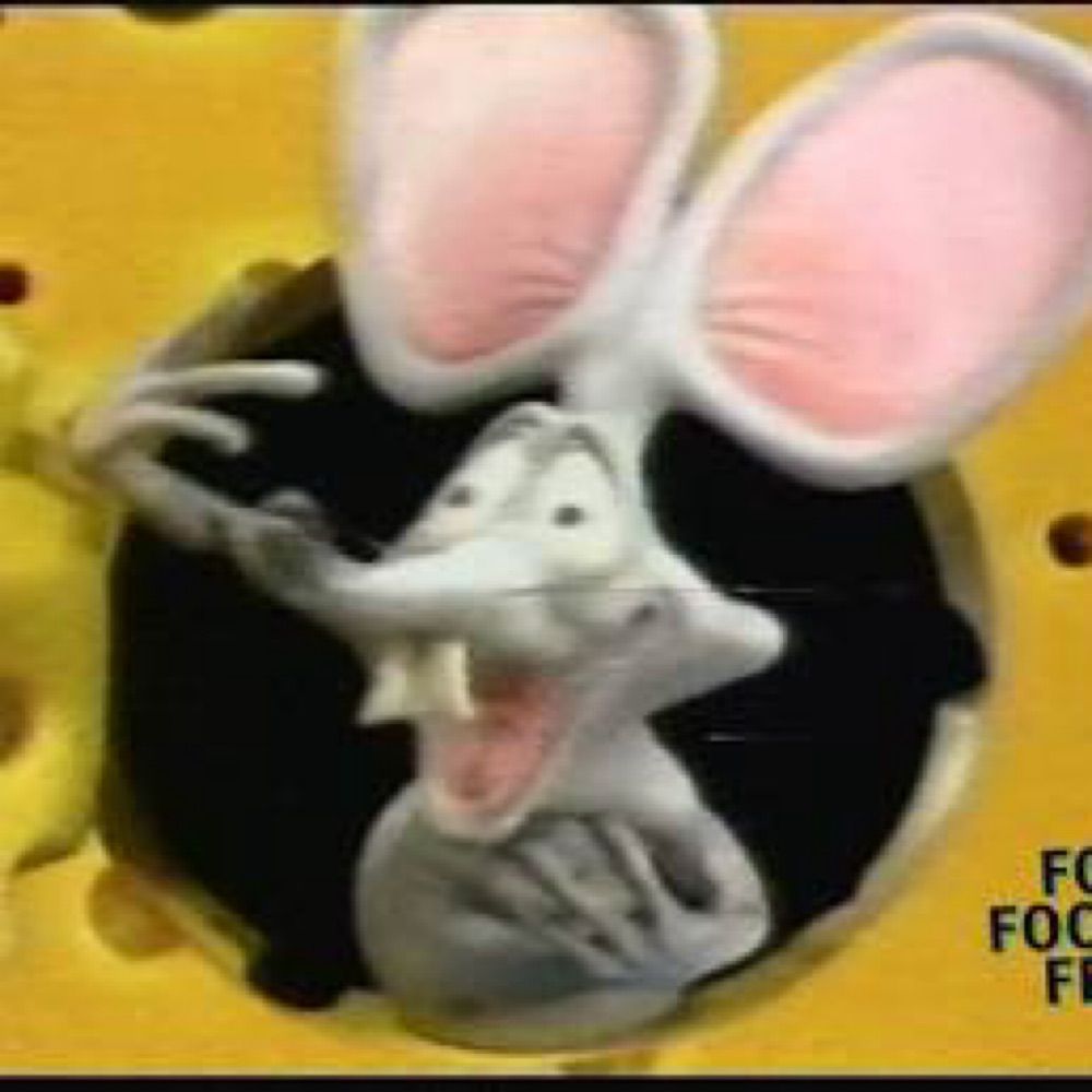 Rap Rat!