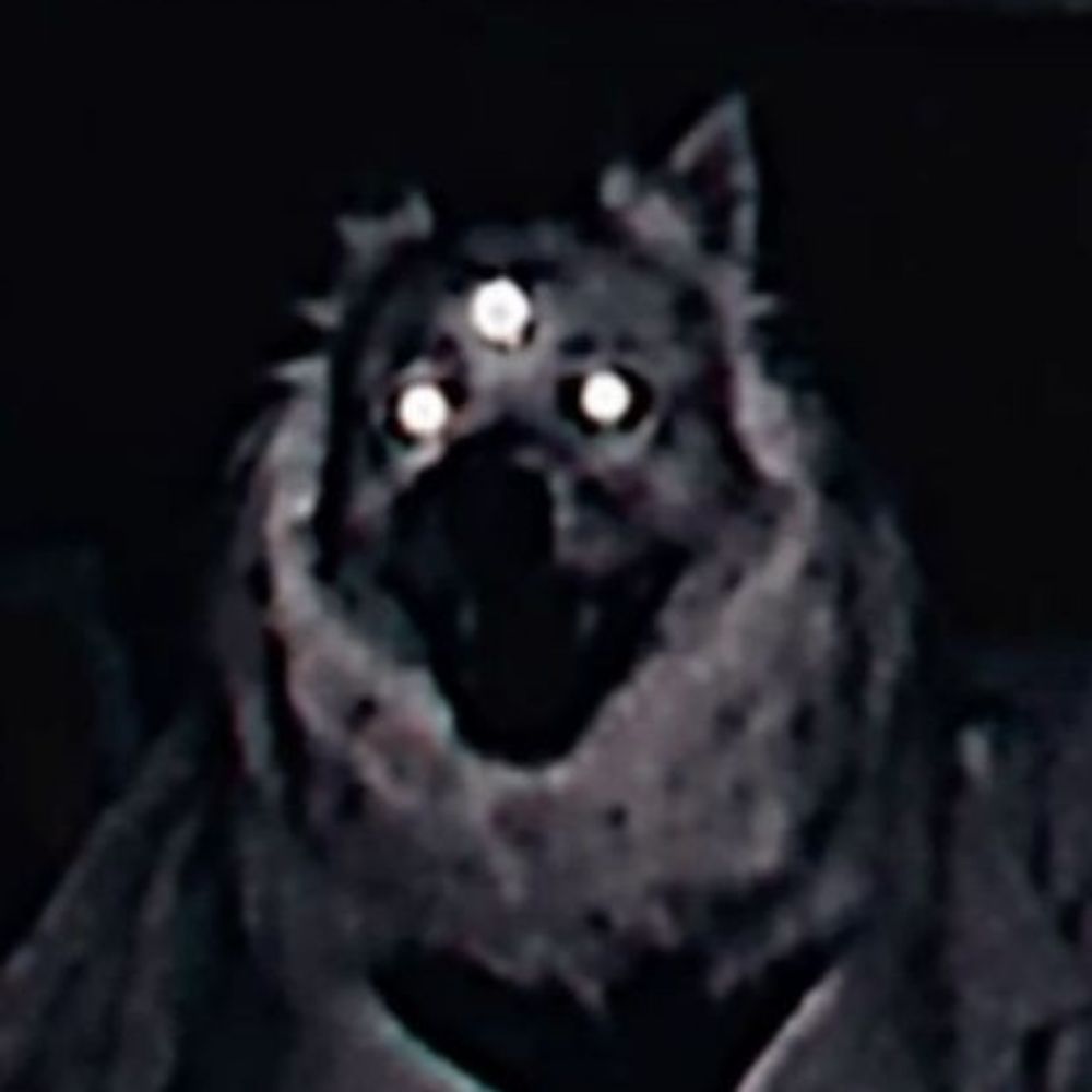 dogwitch