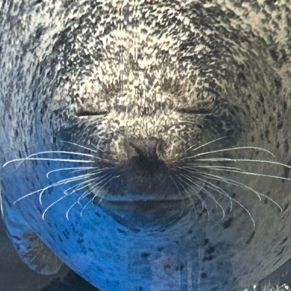 浮々