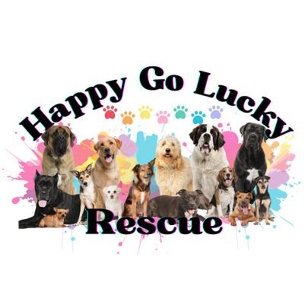 Happy Go Lucky Mastiff Rescue