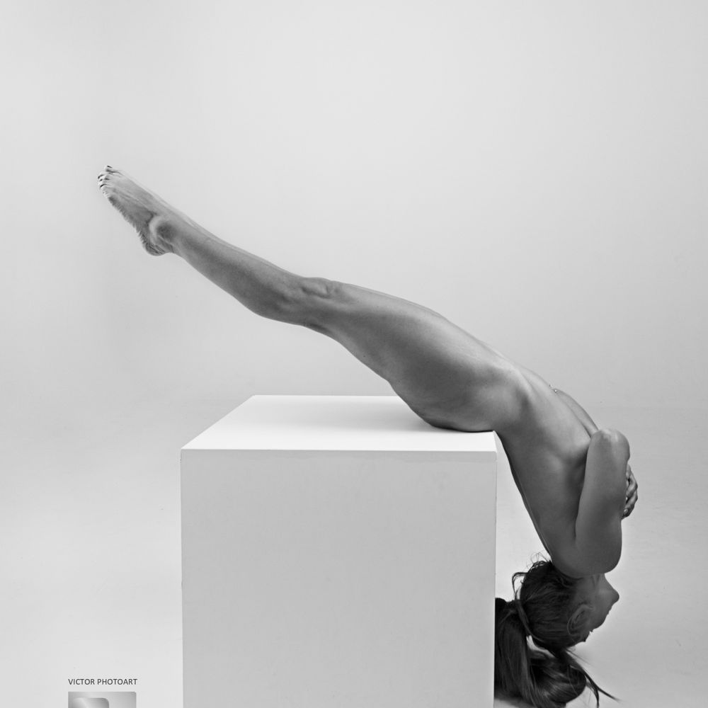 DafneMuse