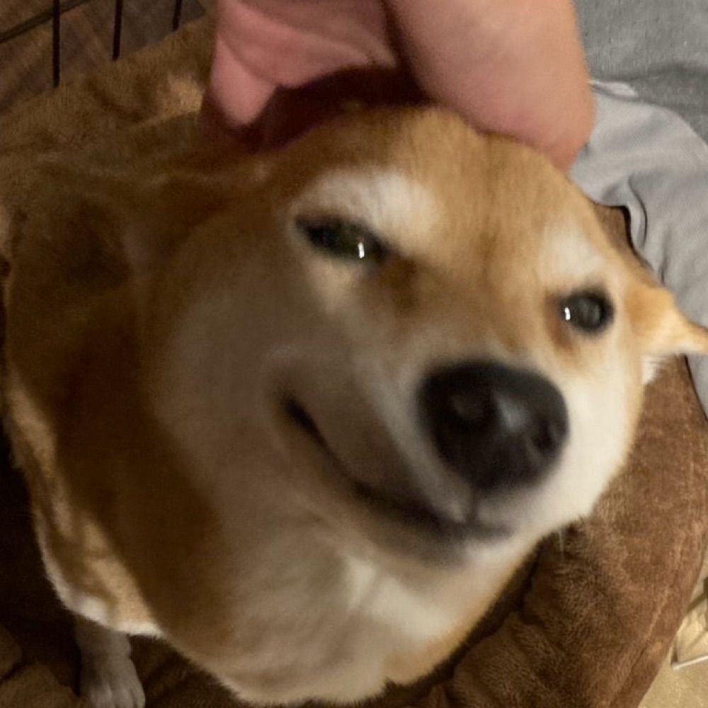 きり