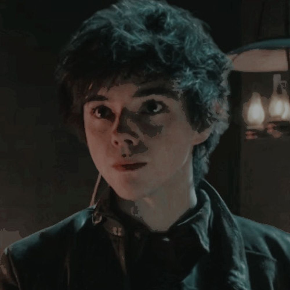 Wylan Van Eck