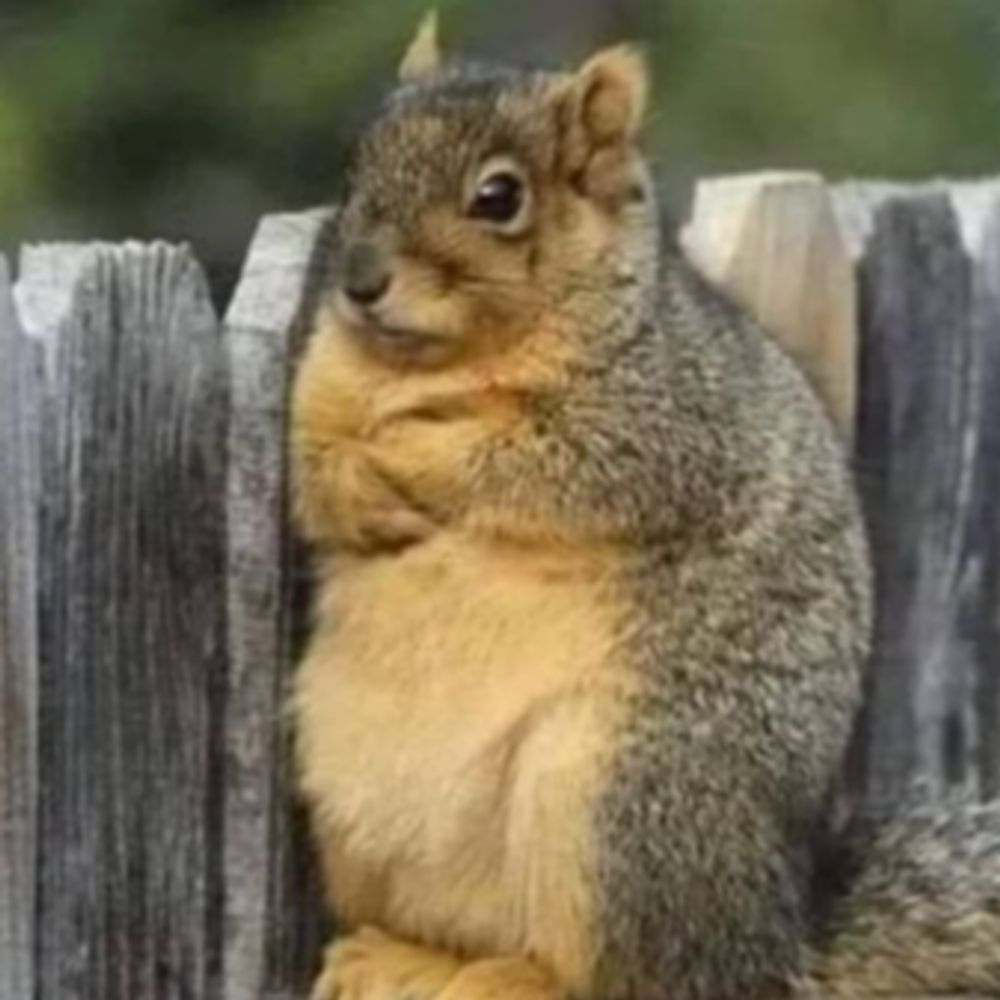 🐿 Mr. Nutter Butter 🐿🖖🐿