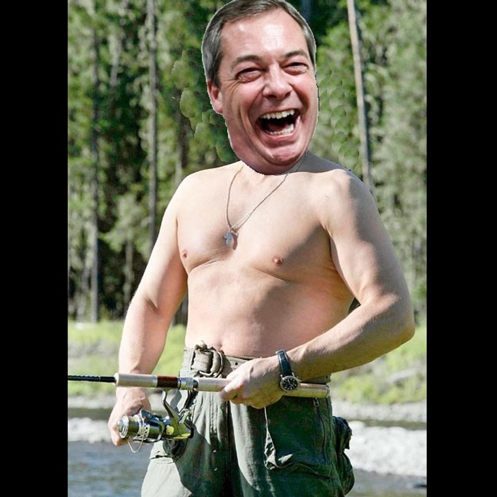 Vladimir Farage 🇪🇺 #FBPE