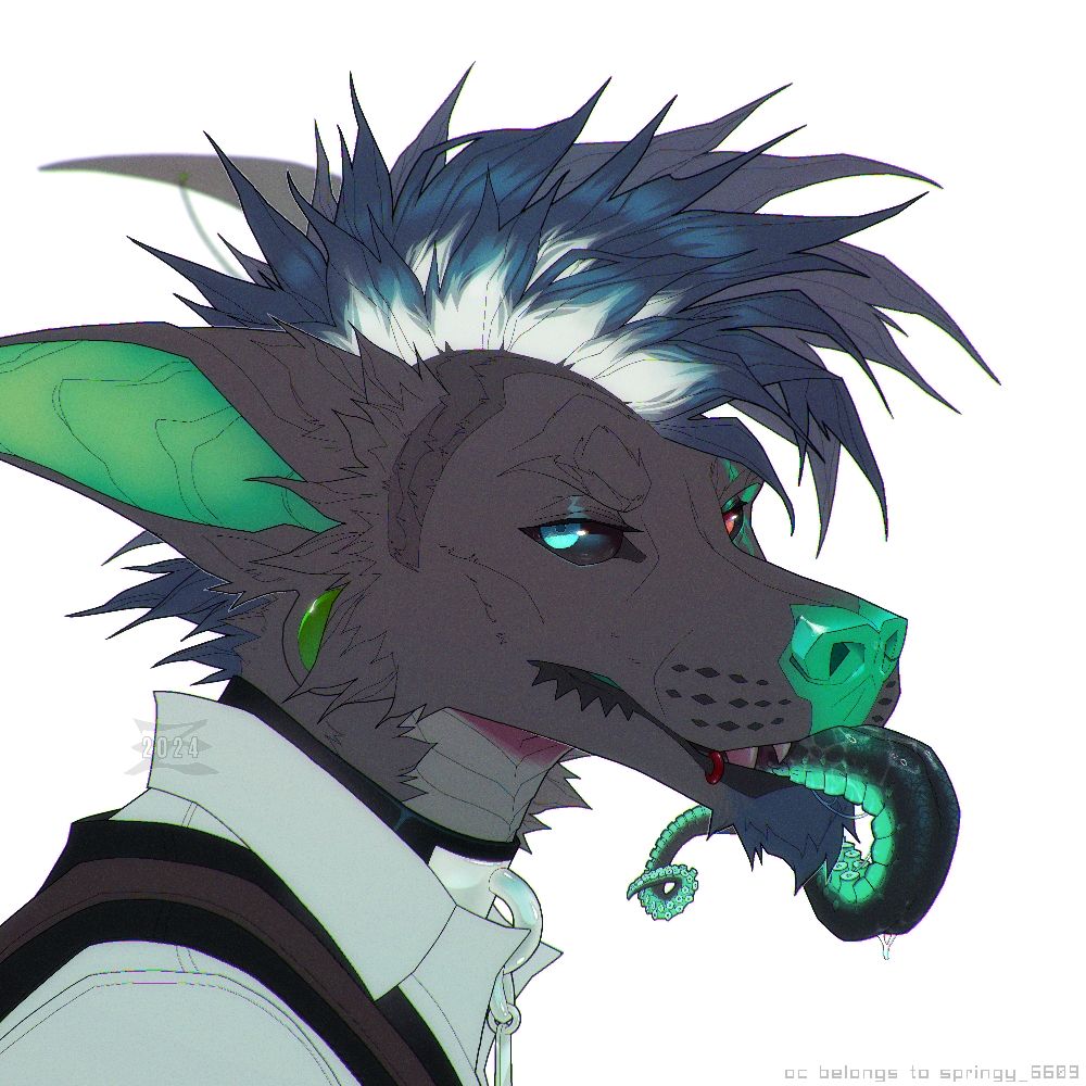 Springy_6609