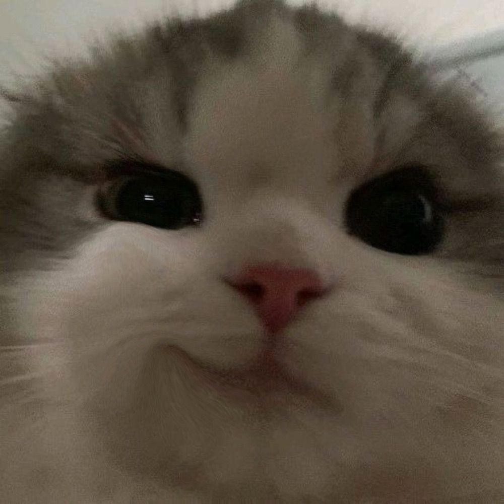 gio