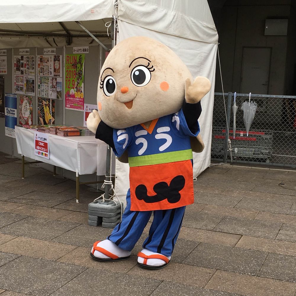 kikumasaco