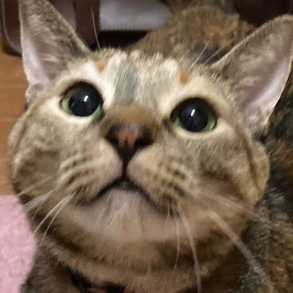よっちー