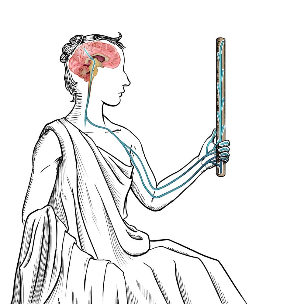 Brain, Body, & Technology Lab