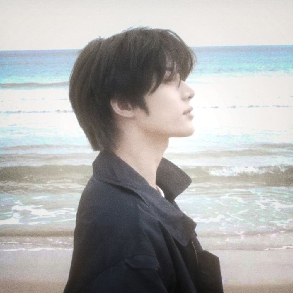 pudimgyu