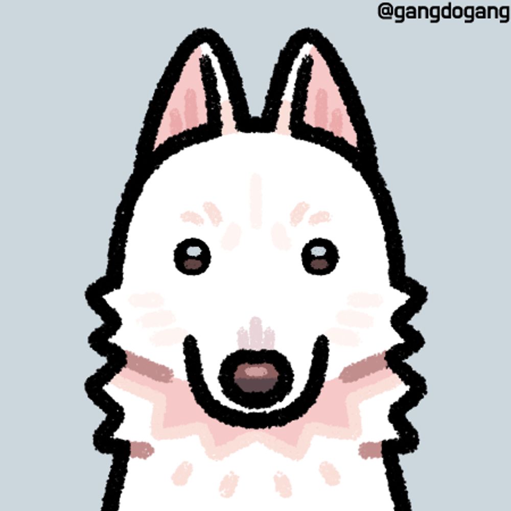 강아지 강도