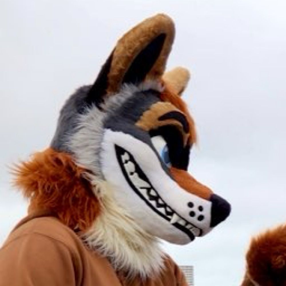Edit The 🦊 🔜 FWA