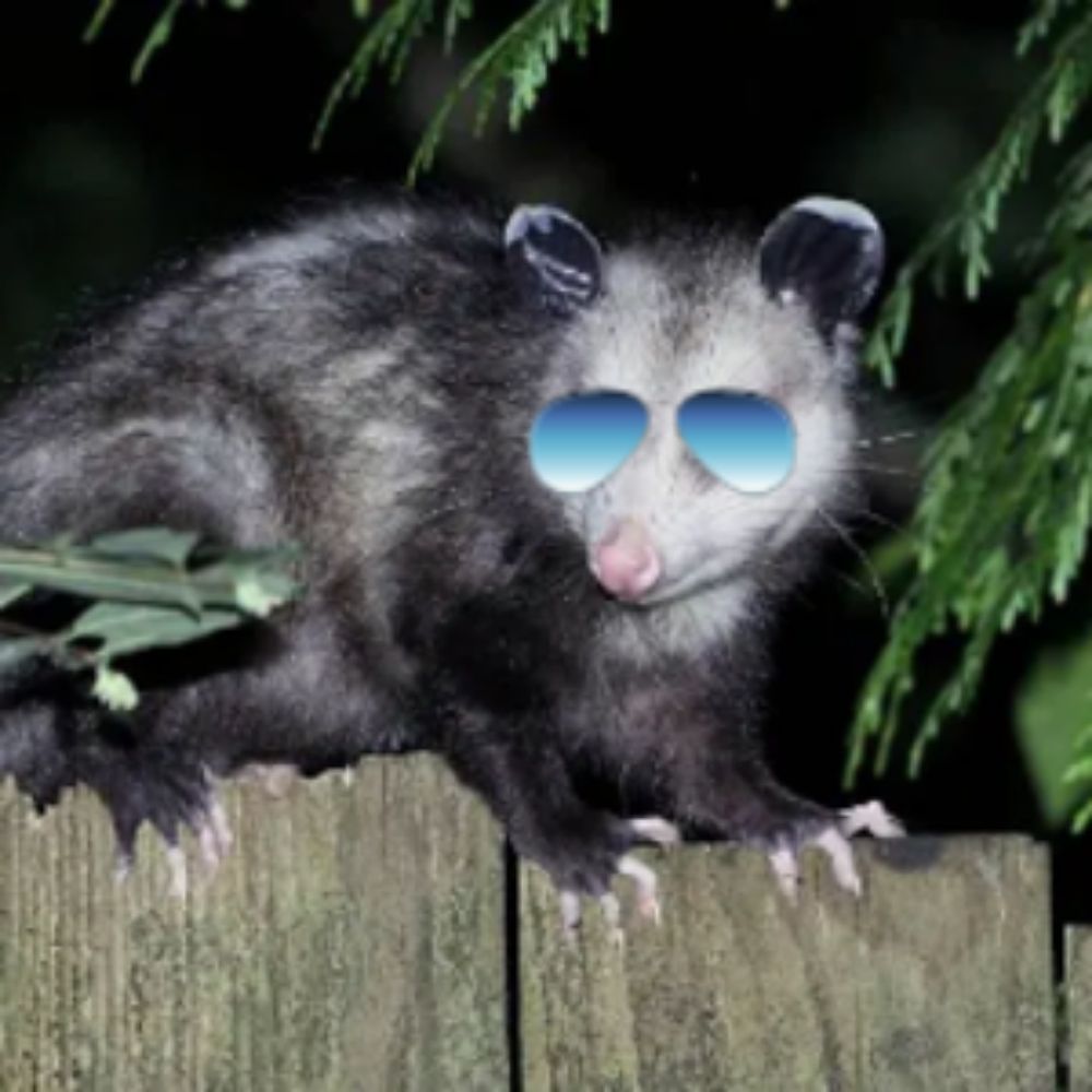 N3M0 🐀🐀🐀🐀