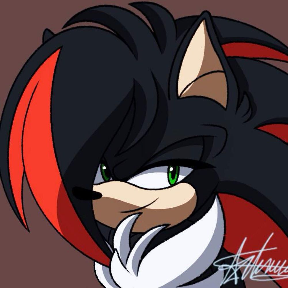 Rhys the hedgecat