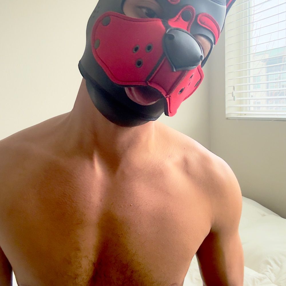 🍄🌈 shypup