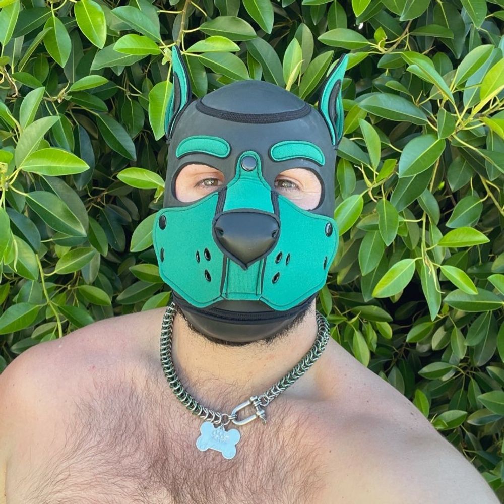 pupTANK🪖