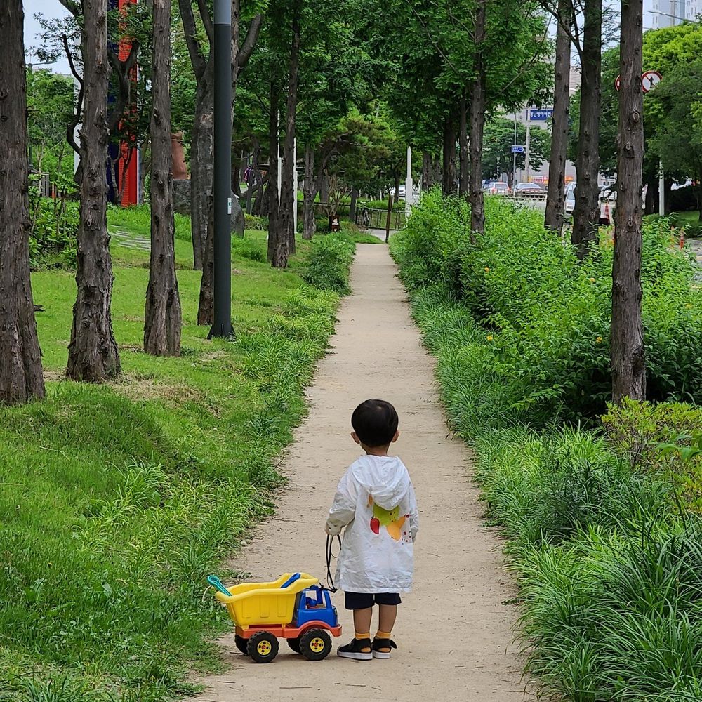 꽃구름