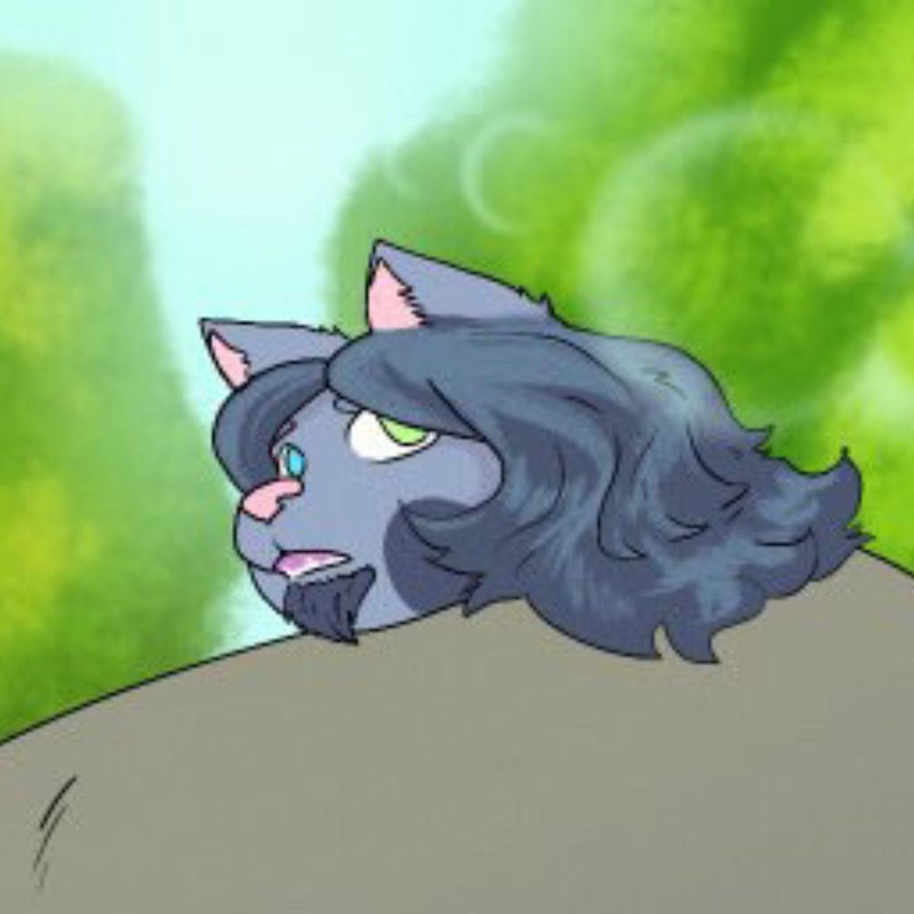 Chumpy Cat