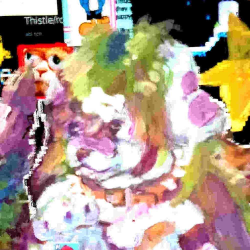 𝖈𝖍𝖆𝖗𝖉𝖔𝖓 🐀